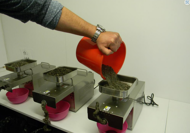 Presa ulei presare la rece verificare acid oleic test laborator