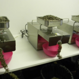 Presa ulei presare la rece verificare acid oleic test laborator